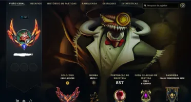 Conta Mestre - 516 skins