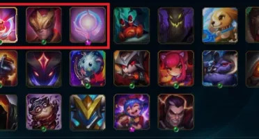 CONTA PLATINA / SKIN COM BORDA EXCLUSIVA