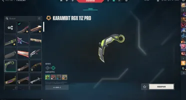 Conta valorant Level 347 mais skins