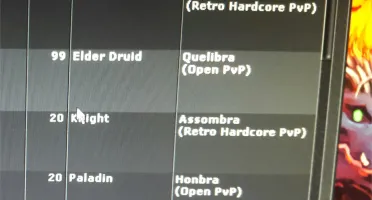 Tibia Royal Paladin level 323