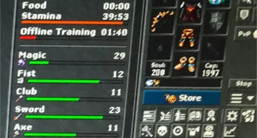 Tibia Royal Paladin level 323