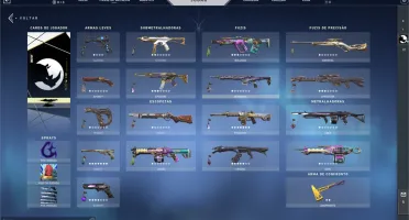 Conta de Valorant com 3600 reais em skins LEIA A DESC