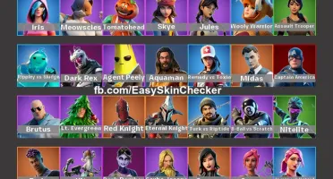 Fortnite conta skin raras