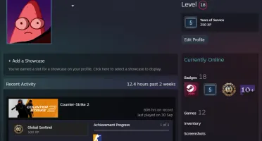 Conta Steam Nv. 18 C/ CS2 PRIME