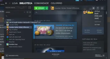Conta steam 19 anos