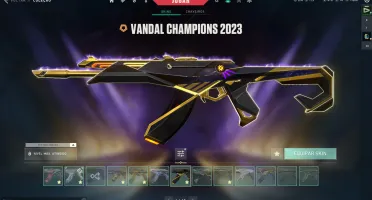 Conta valorant/lol muitas skins