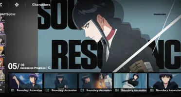 Bleach soul resounacer