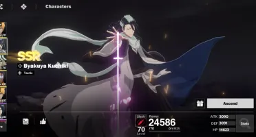 Bleach soul resounacer