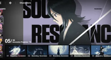 Bleach soul resounacer