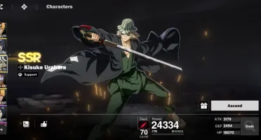 Bleach soul resounacer
