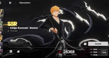 Bleach soul resounacer