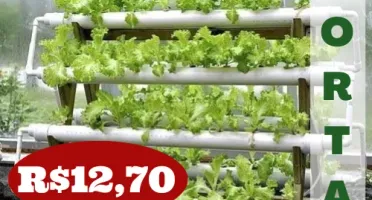 Projeto Horta Organica E Hidroponica Quintal De Casa P Email