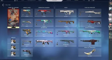 CONTA VALORANT 14 SKINS + CONTA LOL 134 SKINS