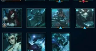 CONTA MASTER MAIN SUP/JG 60%WIN