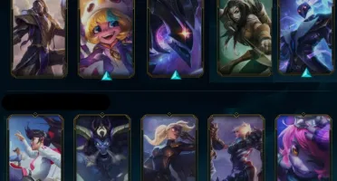 CONTA MASTER MAIN SUP/JG 60%WIN