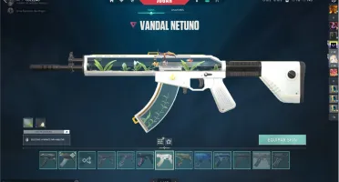 CONTA DE VALORANT