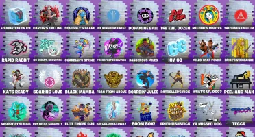 Conta fortnite com skins e itens tryhards