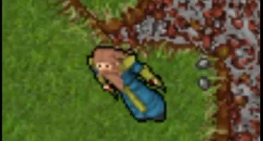 Vendo Sorcerer c/ carta Rk lvl 75.