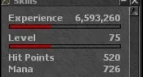 Vendo Sorcerer c/ carta Rk lvl 75.
