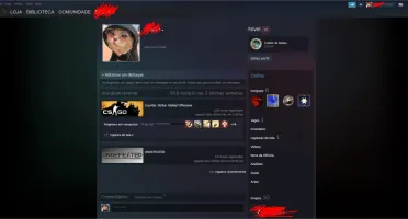 CONTA CSGO C/ PRIME NIVEL 10 STEAM