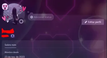 Conta discord 2023 1 efeito de decoração, 1 bordinha