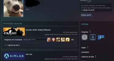 Conta Steam