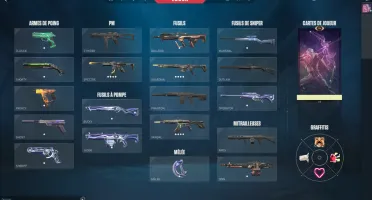 Conta Diamante 2 com Todos os Campeões e 210 Skins