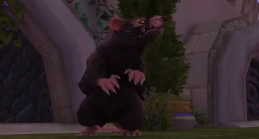 Montaria Wow - Rataranhão / Ratstallion