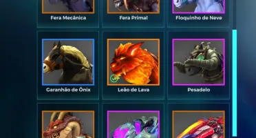 Conta Paladins