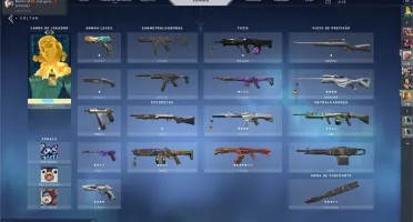 CONTA VALORANT PLATINA 1, COM SKINS