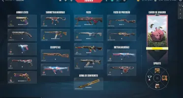 Conta Valorant Com Skins - CHAMPIONS Full Acesso, Único Dono