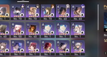 Star Rail - Feixiao - Acheron - Vagalume - Ruan Mei - ND 60