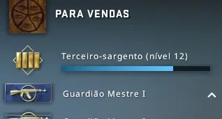 CONTA PRIME CSGO FULL ACESSO | PTT AK (MM+BD)+BRAWLHALLA ELO