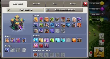 CV 14 rushada recente