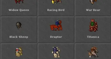MASTER SORCERER 400+ (OPEN PVP BR) 25% LOYALTY