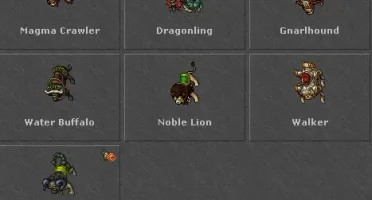MASTER SORCERER 400+ (OPEN PVP BR) 25% LOYALTY