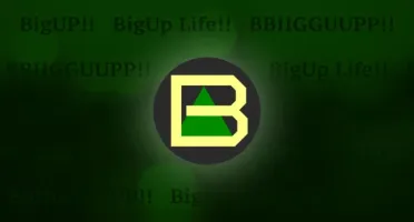 BigUp 10.00000000 Moeda Virtual tipo Bitcoin Guarde Agora!