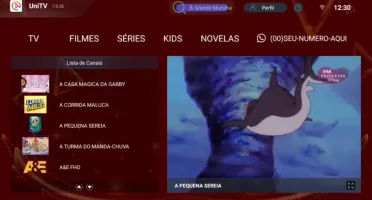 Script Painel estilo UniTV - login via Mac + apk