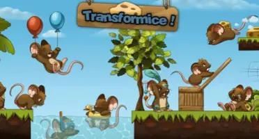 conta transformice