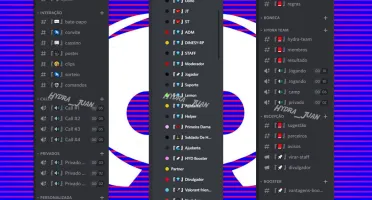 Servidores de discord organizado e profissional!