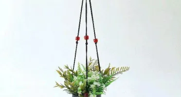 Vasinho Preto Pátina