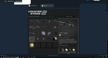 Conta Prime Cs2: 2500 Horas, Skins, 13K, Jogos, Quase 3 Anos