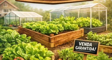 Hortaliça Lucrativa: cultive hortaliças no conforto casa!