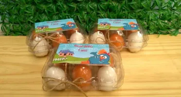 Cartela de Ovos de Sabonete