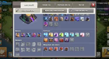 Conta Clash Of Clans Cv14 Top Full Acesso + 600 Gemas + Skin