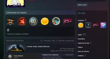 Steam CS+CS2 + Rust + Fc5 + Cod 2 + Gta V + Pubg + Outros