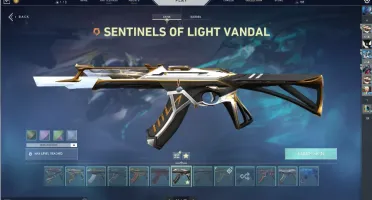 Conta Valorant Cheia De Itens Exclusivos