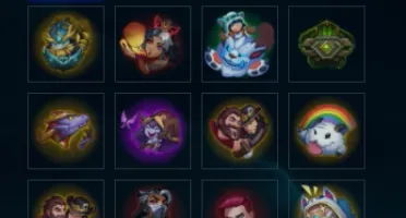 Platina Iv Solo Duo E Flex Com Wr Bizarro