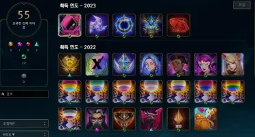 Platina Iv Solo Duo E Flex Com Wr Bizarro