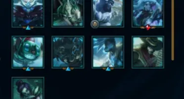 Platina Iv Solo Duo E Flex Com Wr Bizarro